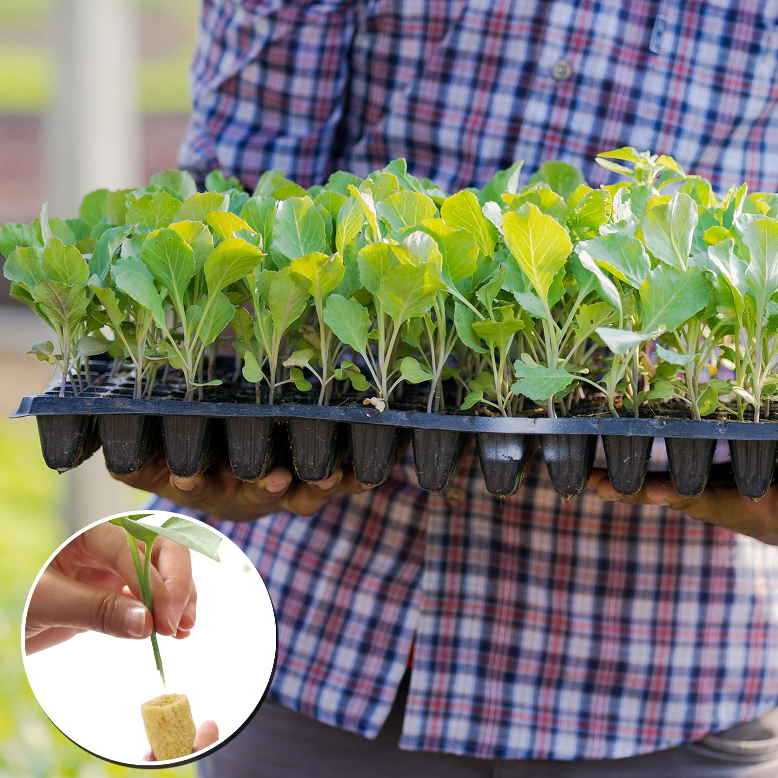 YBB packaging features 50 plugs and 60 labels for setup