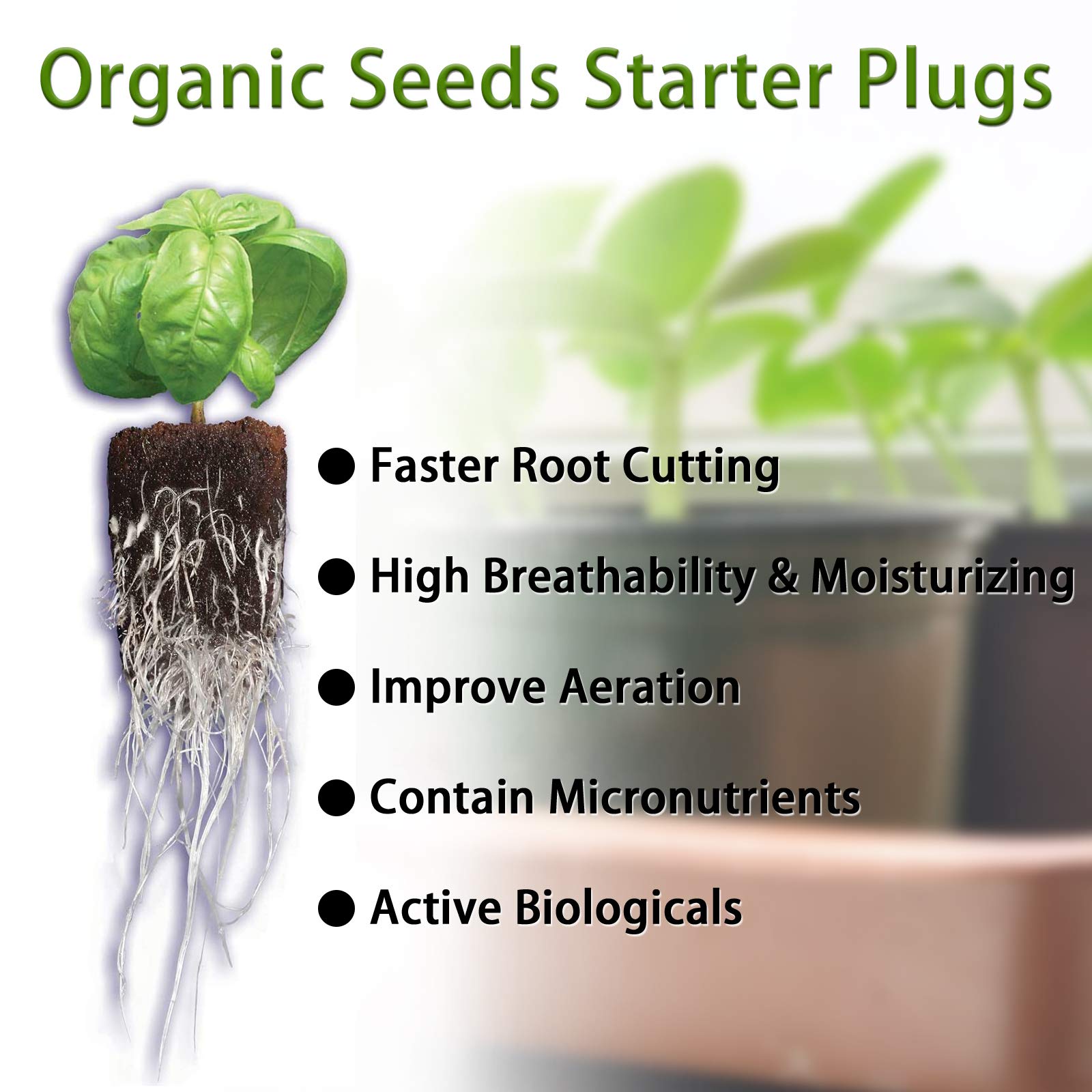YBB rapid root sponges promoting faster germination and strong root branching.