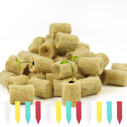 YBB round rockwool seed-start plug ready for germination and growth