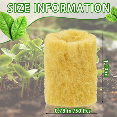YBB round rockwool plug demonstrates nutrient absorption with oxygen balance