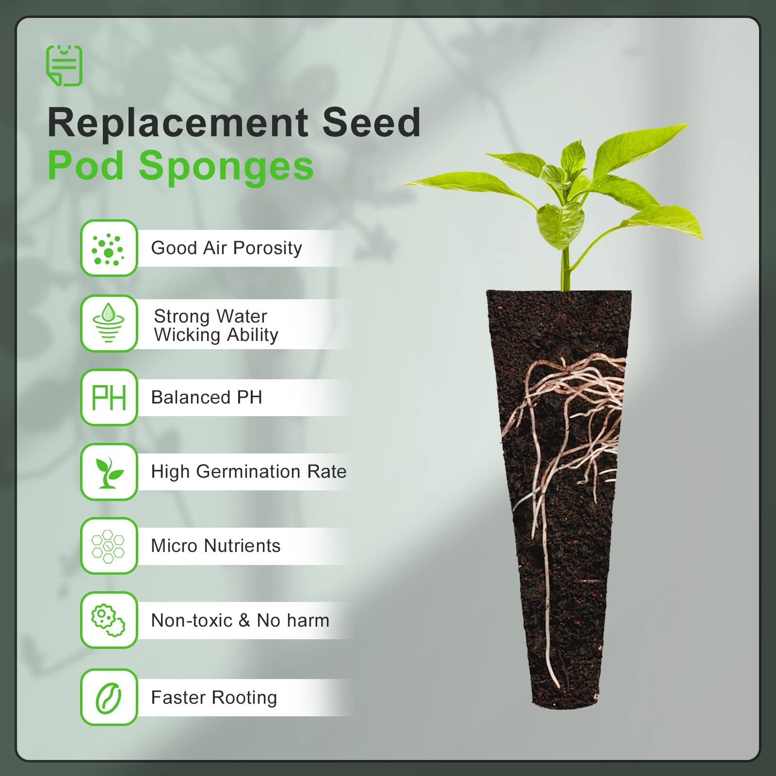 Soaked YBB seed sponges reach about 2.6 by 0.9 inches for reliable rooting