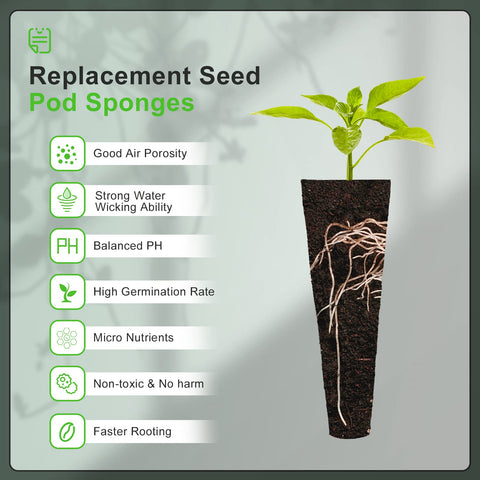 Soaked YBB seed sponges reach about 2.6 by 0.9 inches for reliable rooting