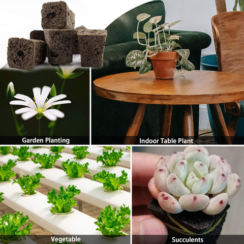 YBB plug design showing the planting gap for seeds or roots for easy setup.