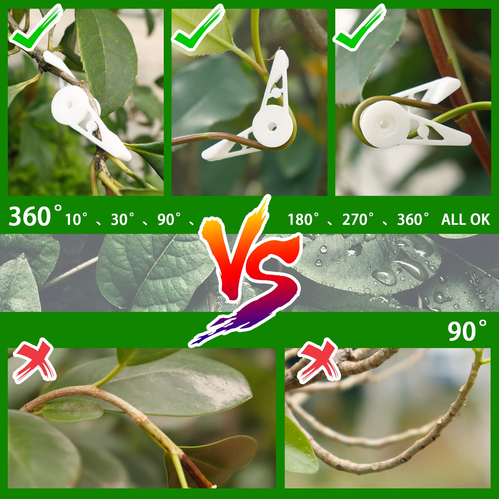 YBB white clip pack balancing stems to prevent overlap in foliage.