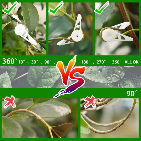 YBB white clip pack balancing stems to prevent overlap in foliage.