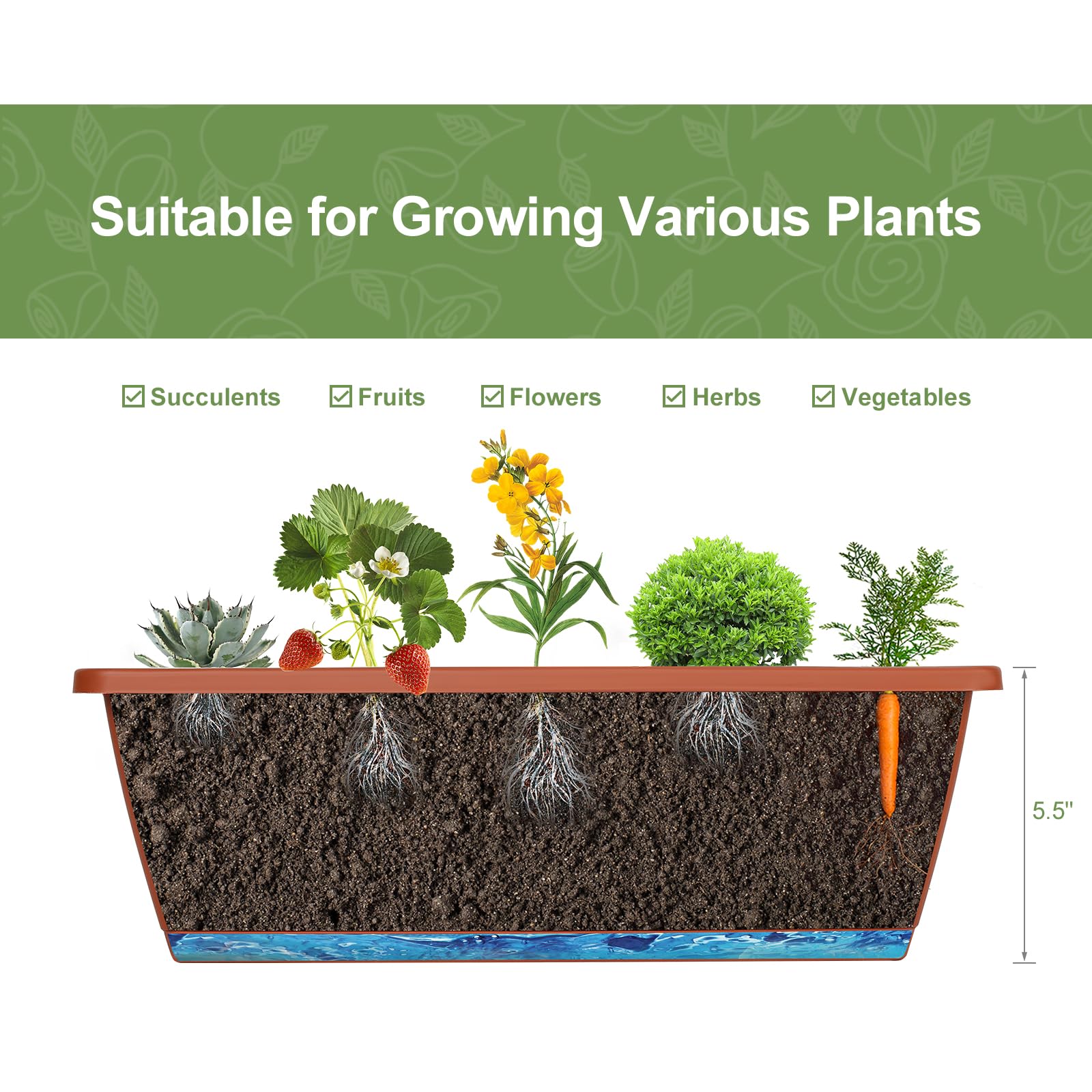 YBING bottom water tray stores extra moisture for plants