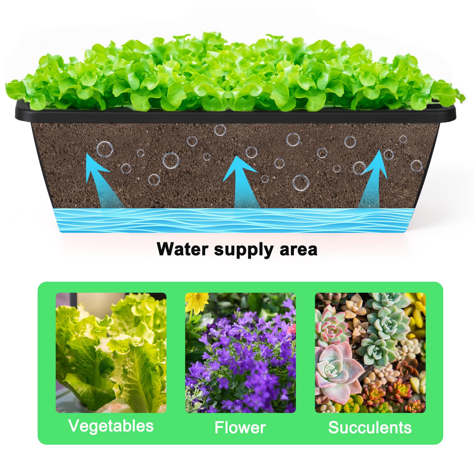 Large capacity planter holding multiple plants on a balcony railing