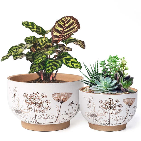 YBX eight-inch ceramic plant pot with drainage holes for healthy watering.