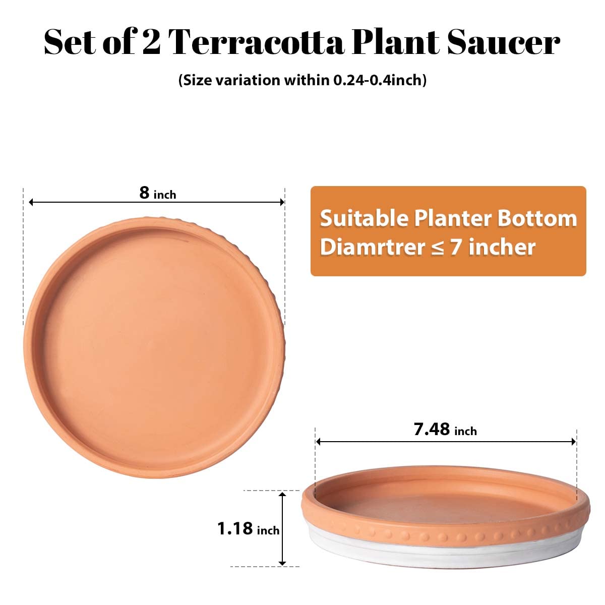 YBX terracotta saucer close-up shows porous surface for moisture balance.