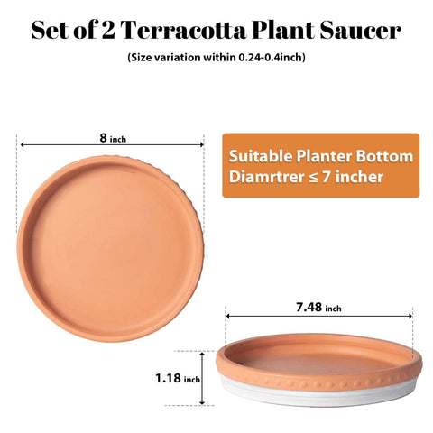 YBX terracotta saucer close-up shows porous surface for moisture balance.