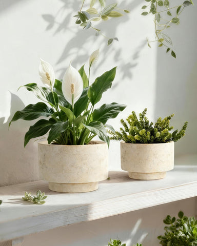 Drainage-hole planter by YBX YIBOXUAN, silicone plug included for moisture control.