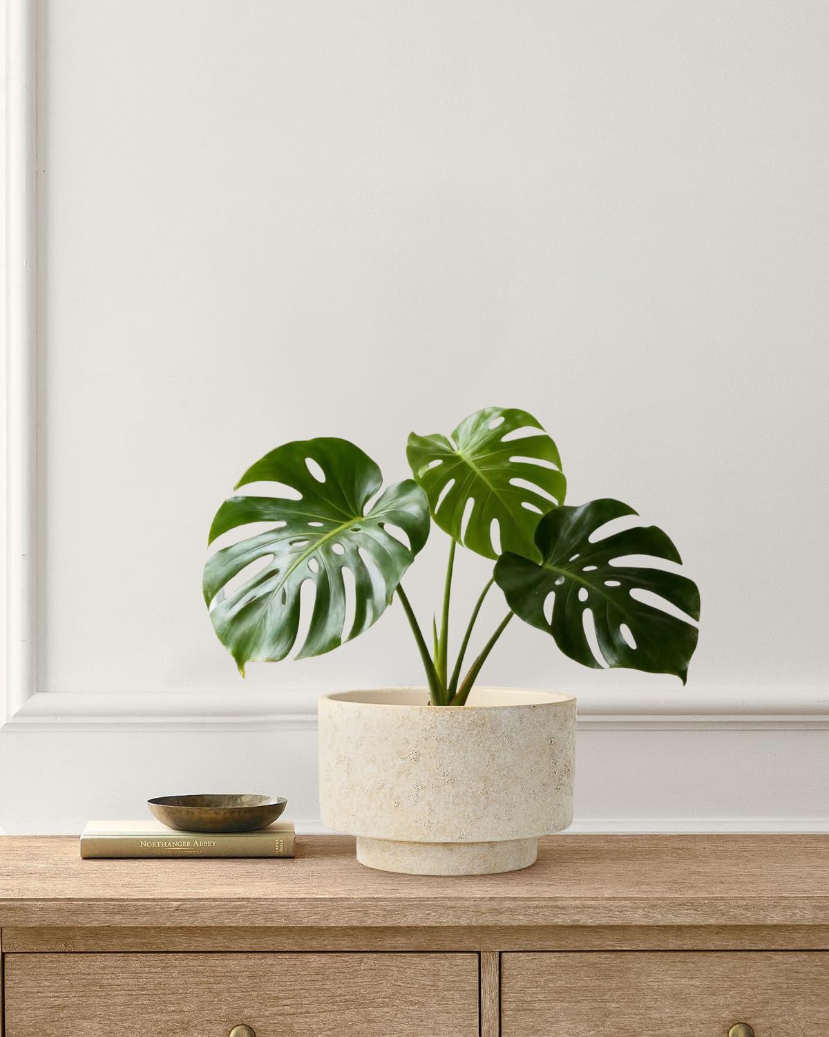 YBX YIBOXUAN ceramic planter with silicone plug for moisture management.
