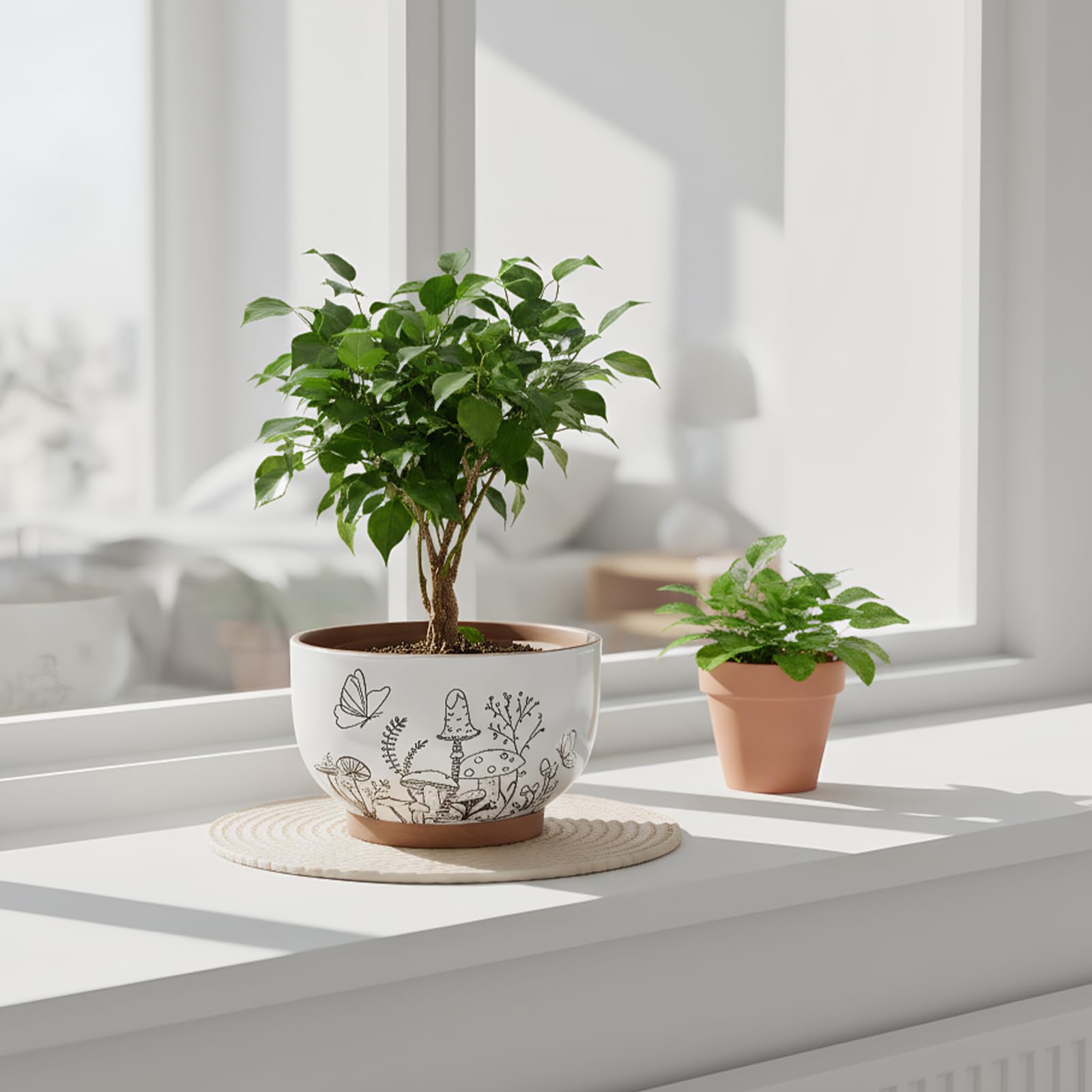 YBX YIBOXUAN 6-inch pot fits compact spaces for small succulents.