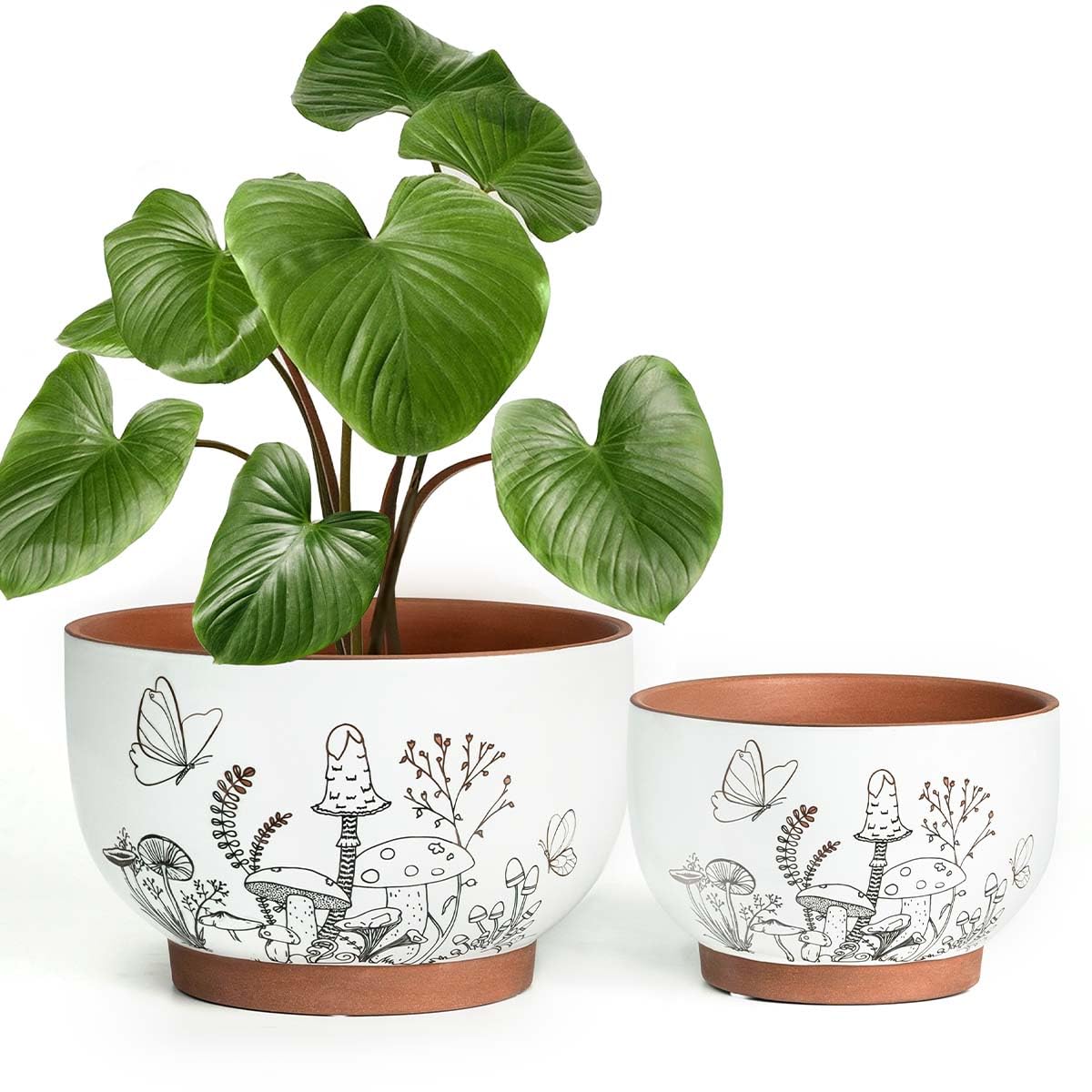 YBX YIBOXUAN terracotta pot with mushroom accent enhances indoor plant display.