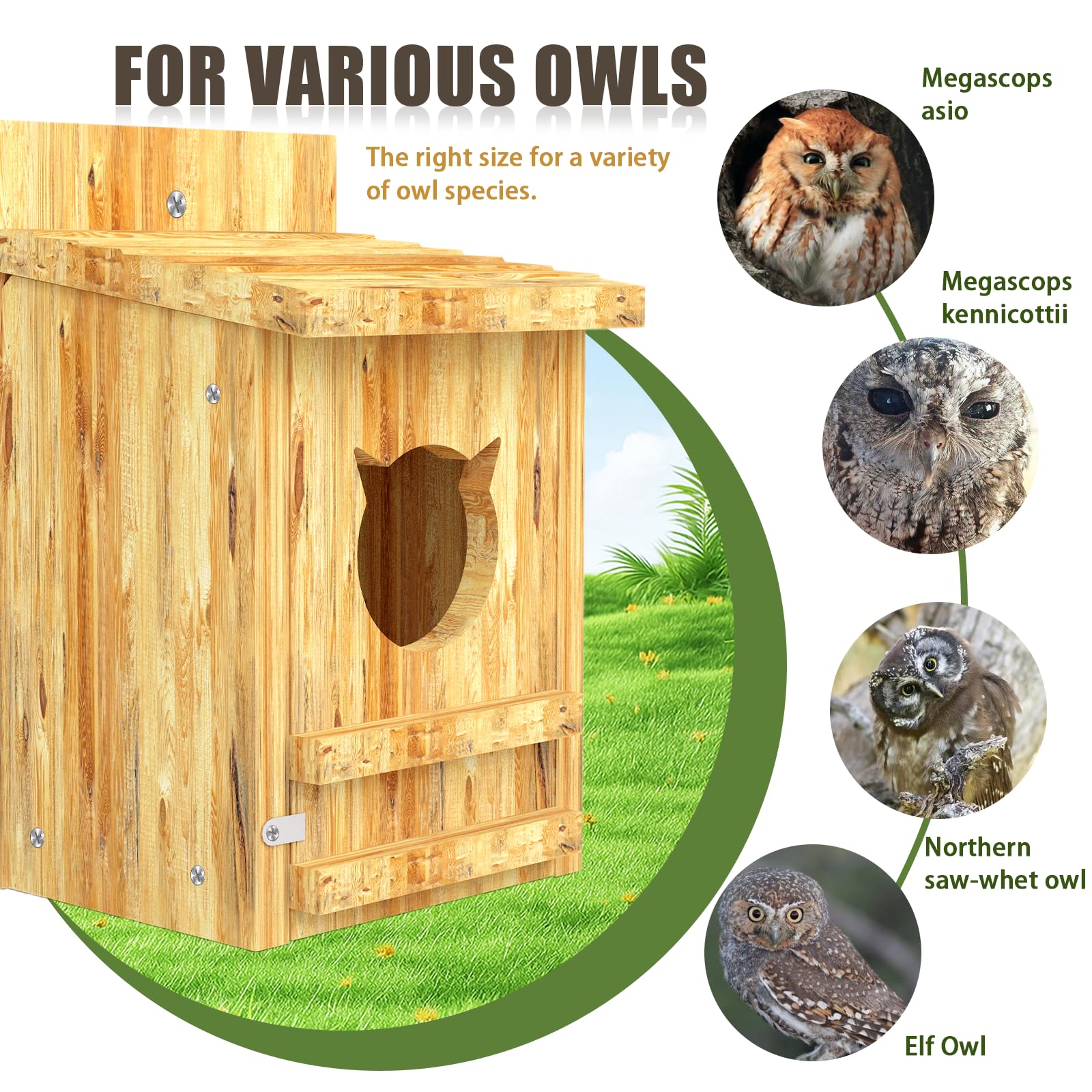 Yckcrc outdoor bird house includes mounting screws for secure placement.