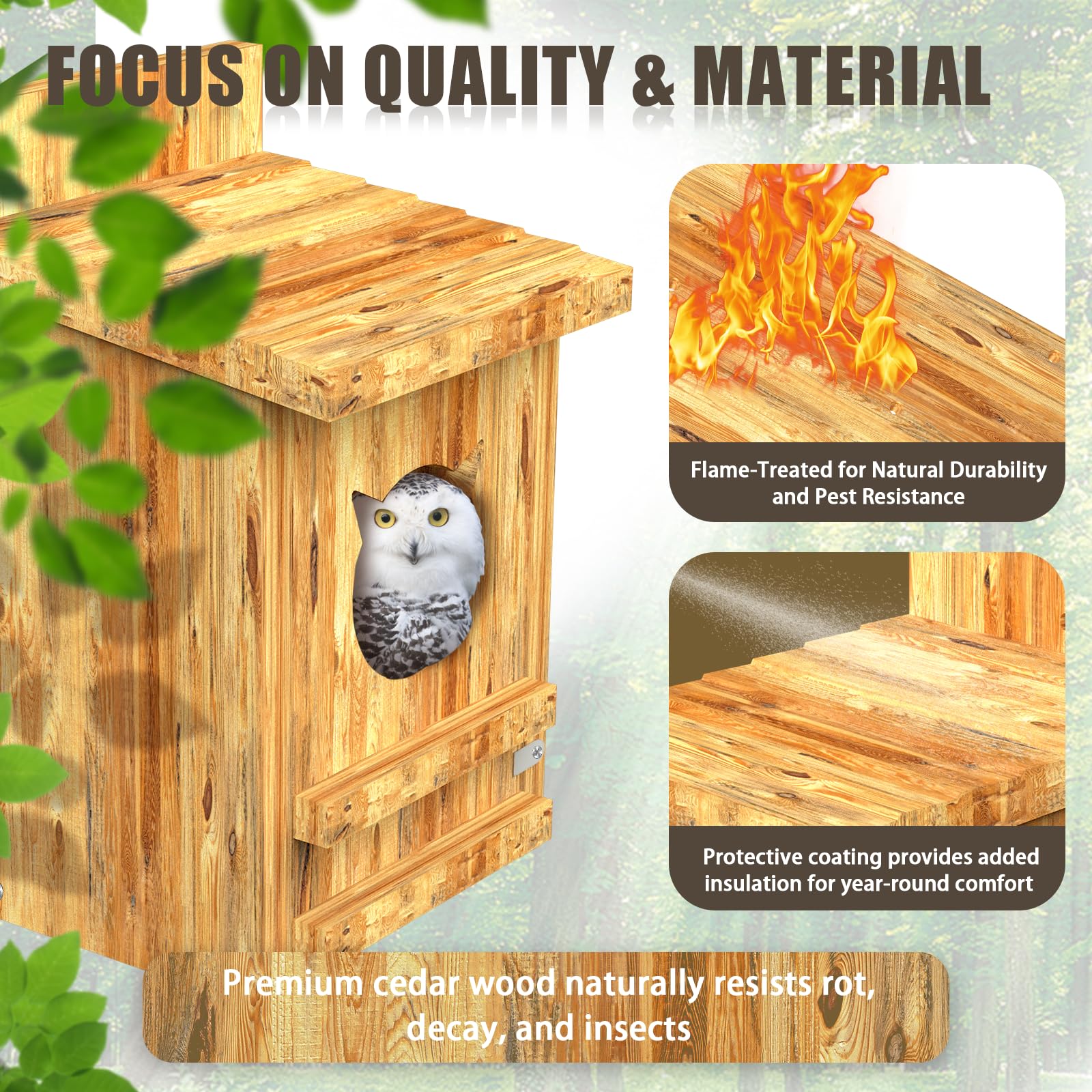 Yckcrc spacious owl habitat accommodates multiple sizes during nesting.