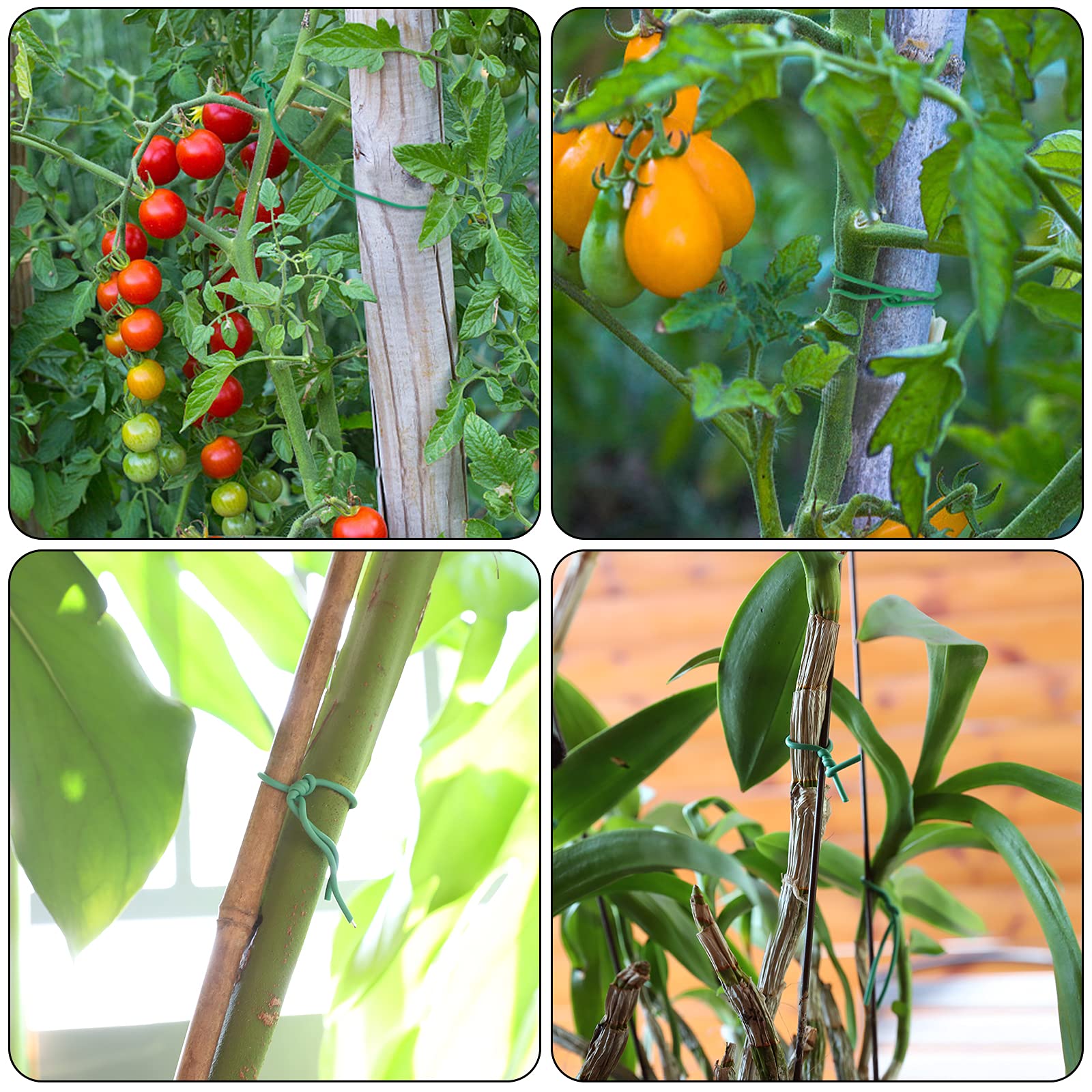 YDSL green twist garden ties blend with foliage while supporting vines.