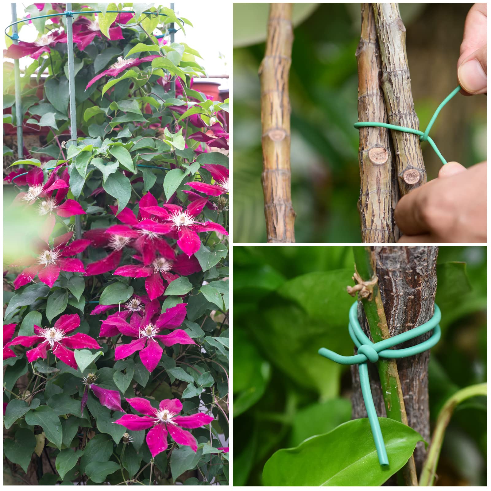 YDSL multiuse plant tie for vines, tomatoes, and indoor greenery.