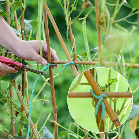 YDSL soft-edge tie in green protects stems during tying