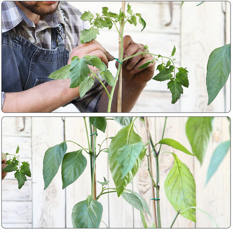 YDSL soft-shell plant tie protects stems and fences during outdoor use.