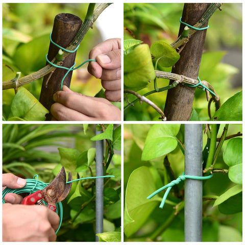 YDSL soft ties neatly organize potted plants in home or office