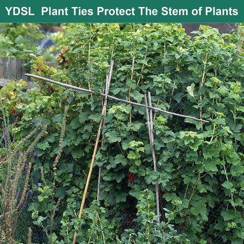 YDSL bendable garden ties securing tomato and vine without damage