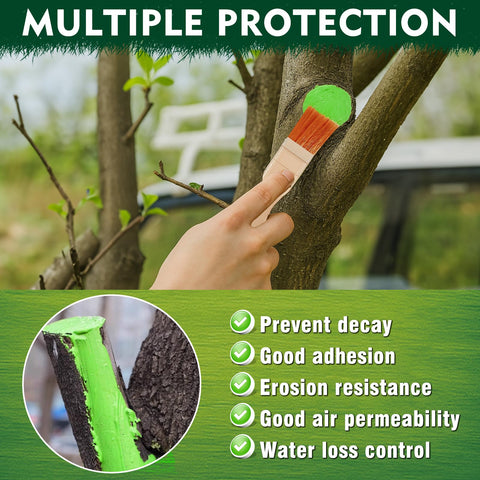 Yeardera sealer used on bonsai for pruning and graft protection