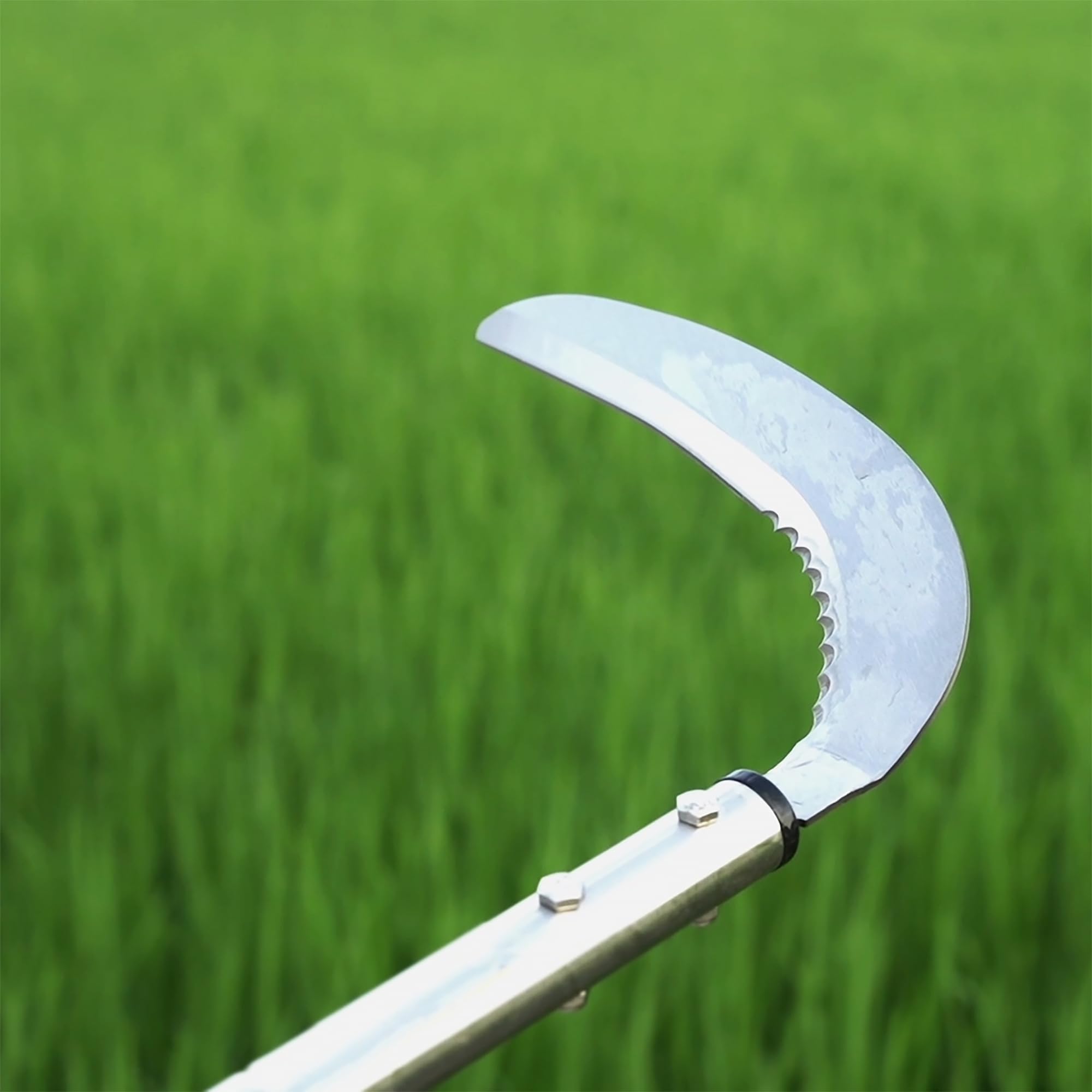 YEELOR weeding sickle showcasing serrated and plain-edged blade design