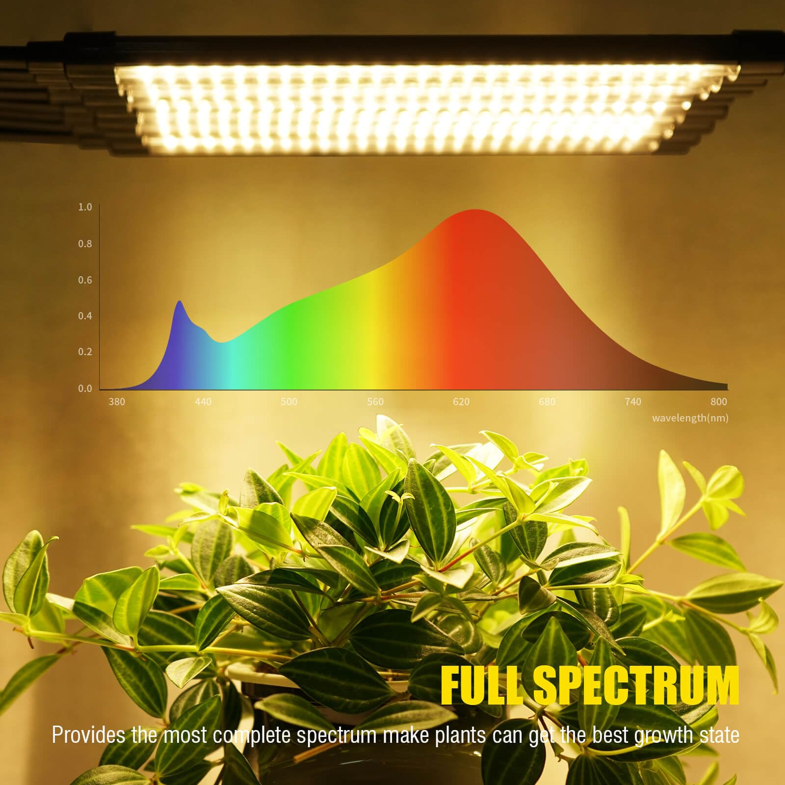 Yehsence auto-timer switches on and off for consistent daily light cycles.