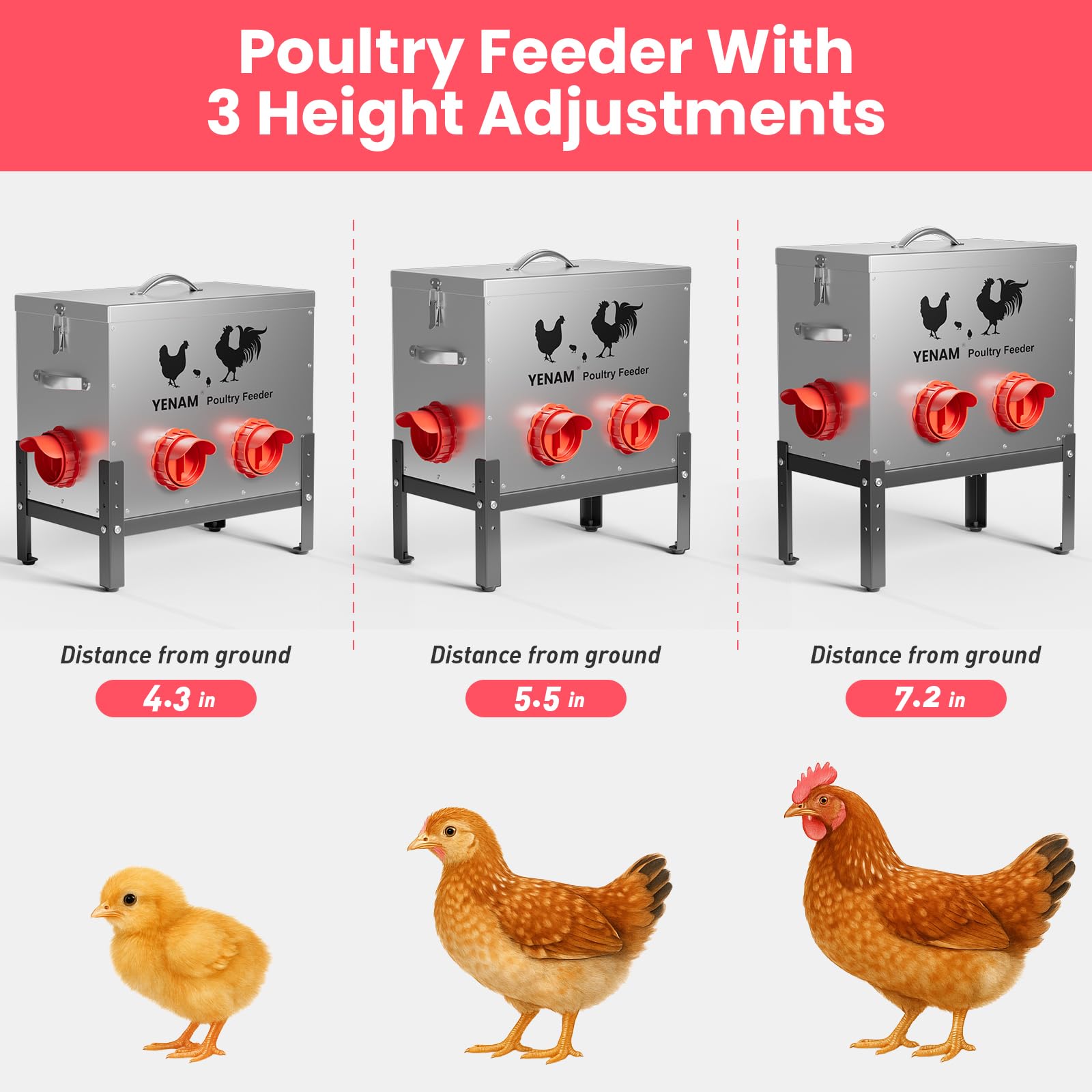 YENAM feeder with height-adjustable base fits poultry of different sizes.