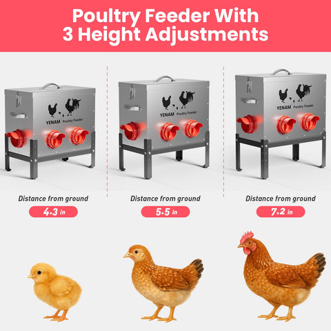 YENAM feeder with height-adjustable base fits poultry of different sizes.