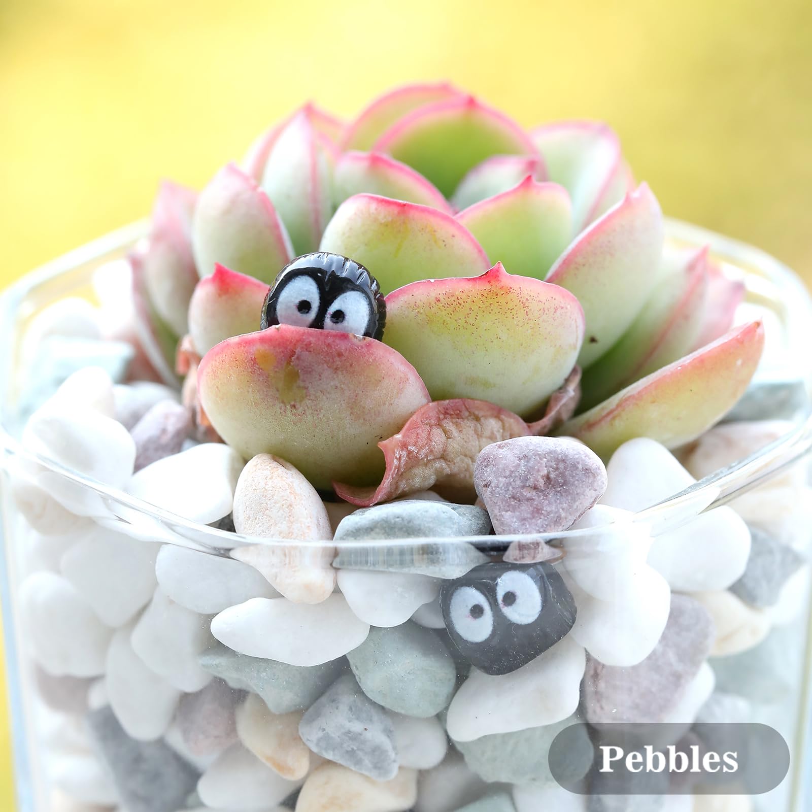 YENXIKU lava rock terrarium gravel adds micro-landscape texture and moisture balance.