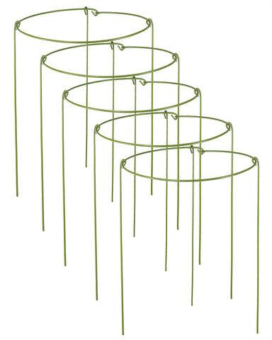 YEOAUM 5-pack plant stake set in garden supports delicate orchid stems.