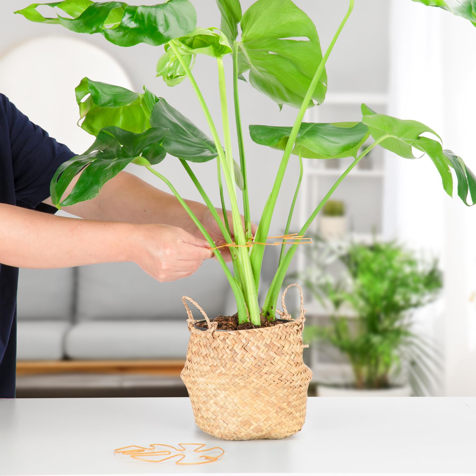 Yeomant 6pcs set ready for quick setup and organized plant care.