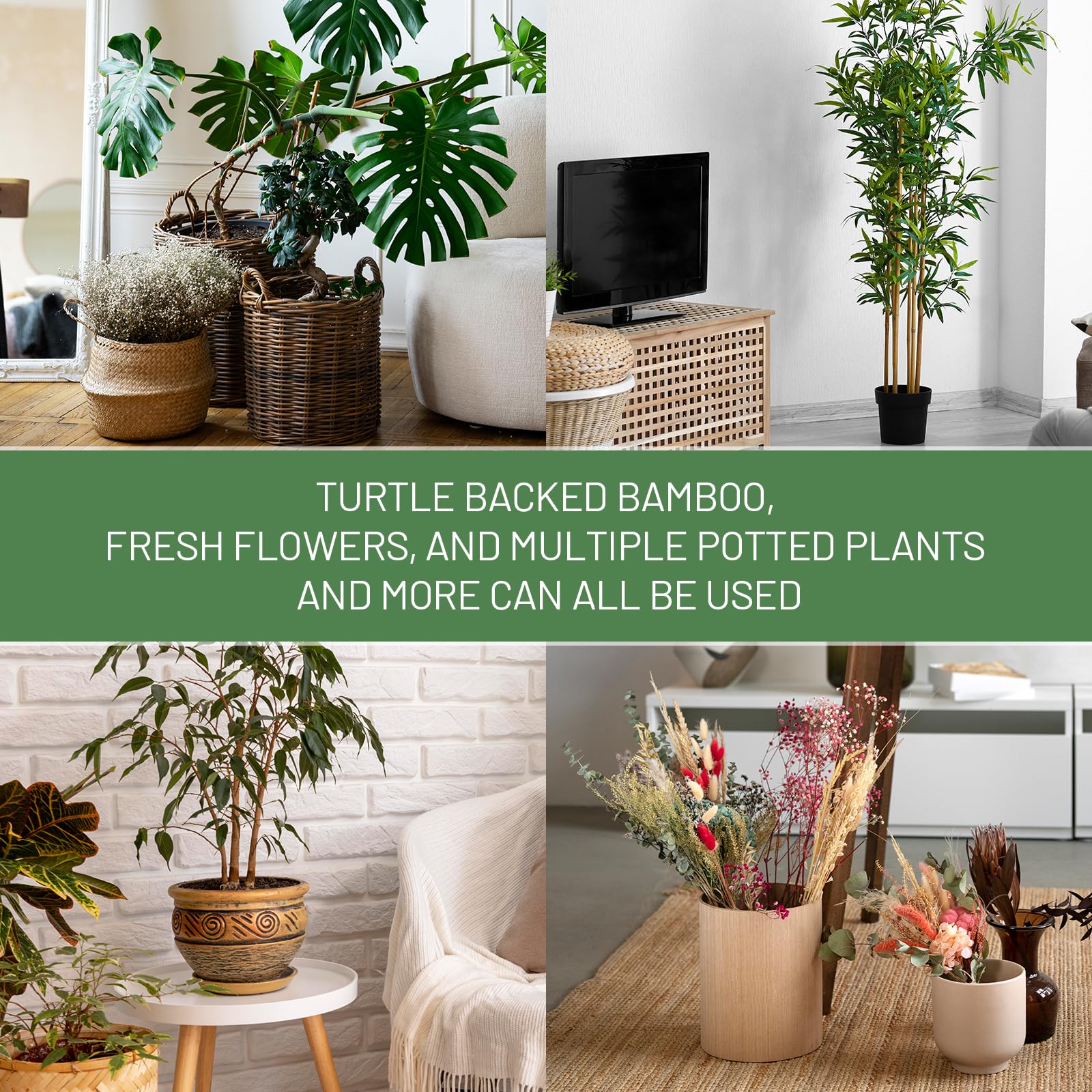 Yeomant gripping holders design protects delicate stems while guiding vertical growth.