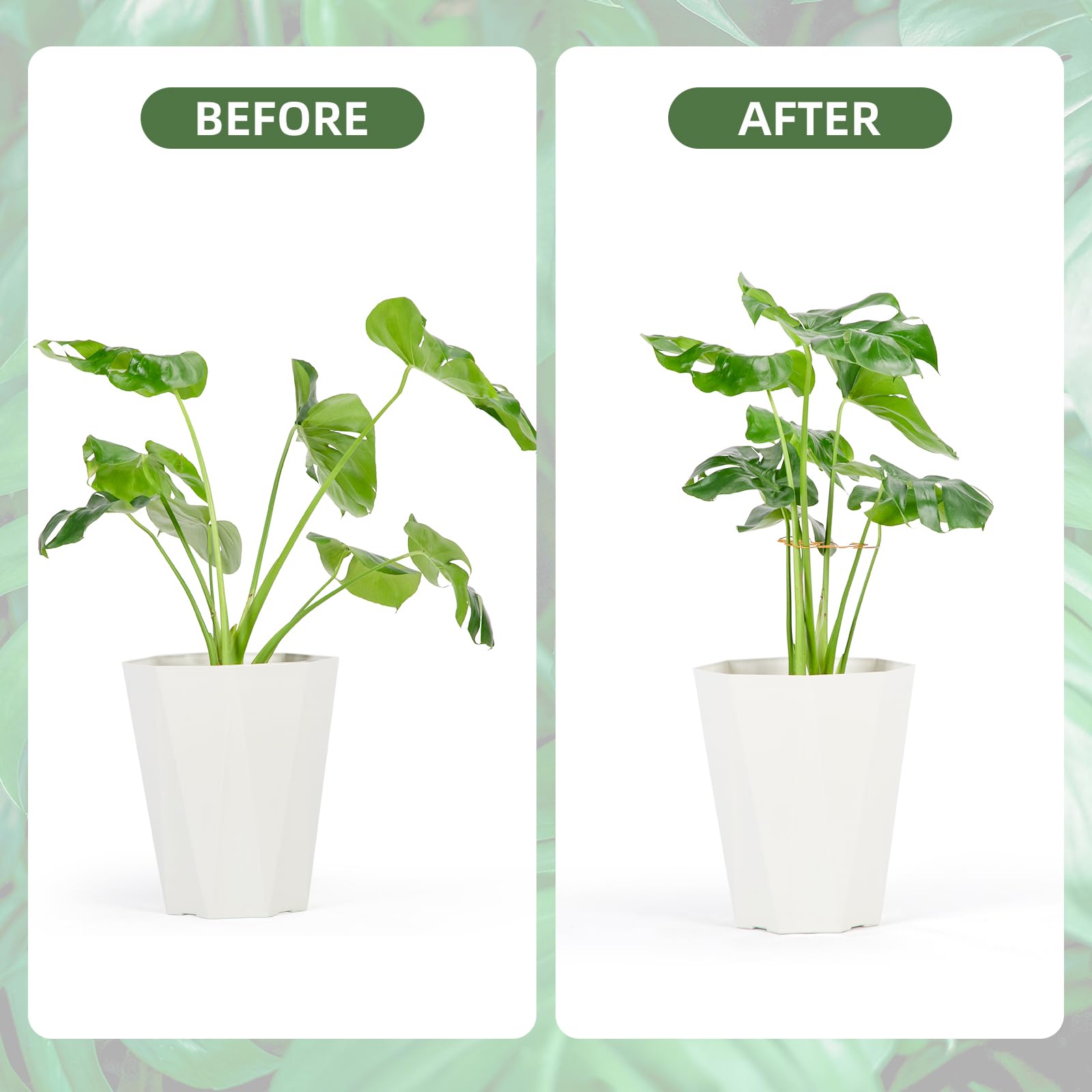 Yeomant iron plant support close-up shows durable, rust-resistant construction for long-term use.