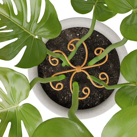 Yeomant measure before purchase helps ensure proper plant fit.