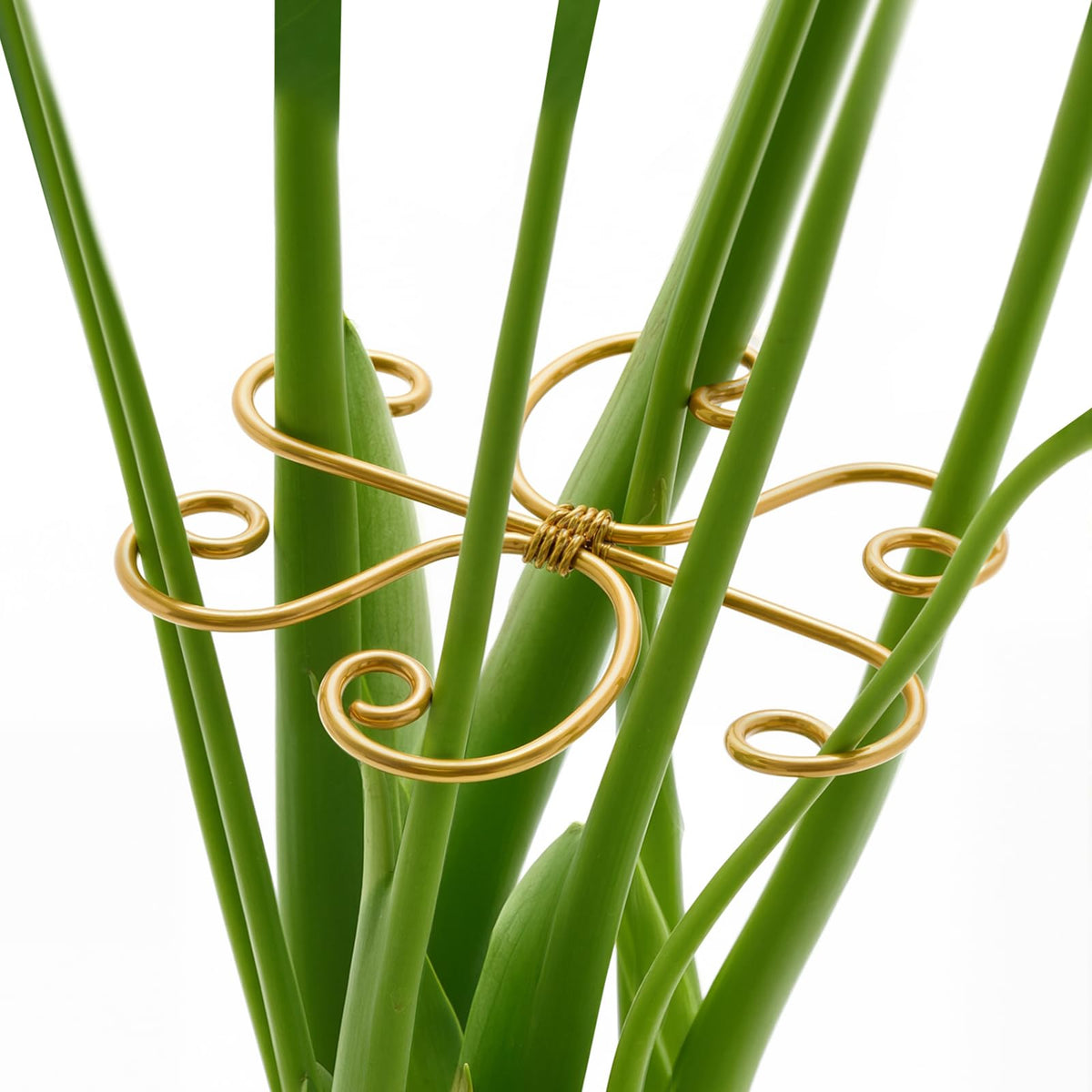 Yeomant Monstera support stakes set stabilizes indoor plants for upright growth.