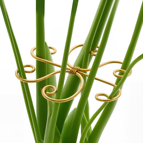 Yeomant Monstera support stakes set stabilizes indoor plants for upright growth.