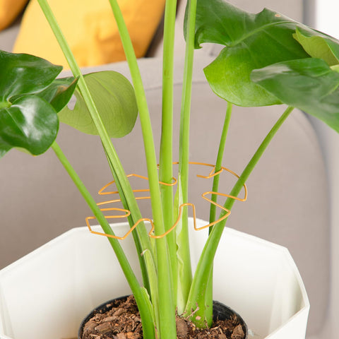 Yeomant rust-resistant coating protects supports in indoor and outdoor settings.