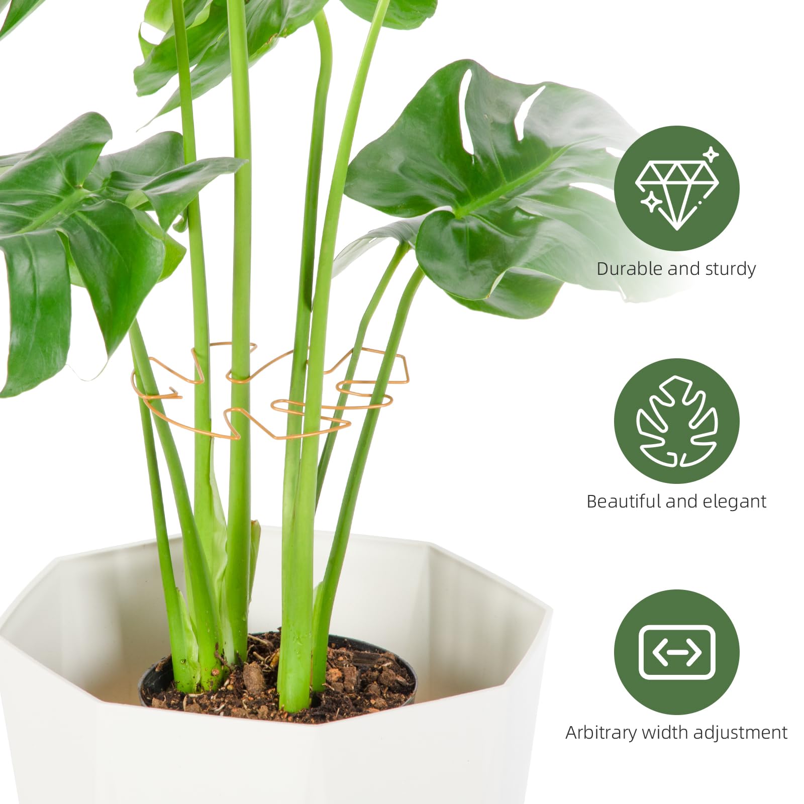 Yeomant turtle shell bamboo clamp set secures delicate stems without damage.