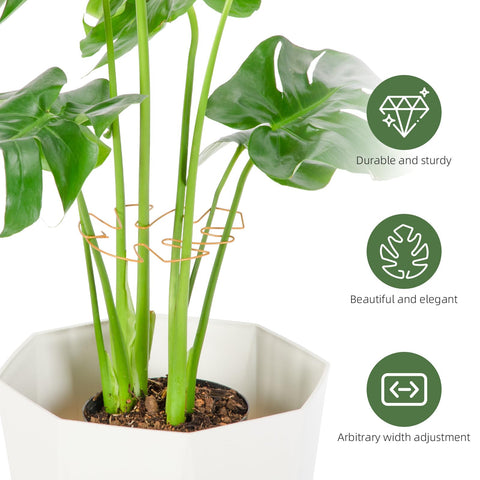 Yeomant turtle shell bamboo clamp set secures delicate stems without damage.