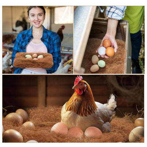 Yerliker easy-egg-collection-nest-pad enables quicker checks.