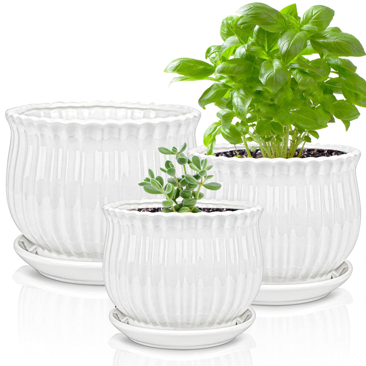 Yesland large ceramic pot with white stripe for indoor succulent display