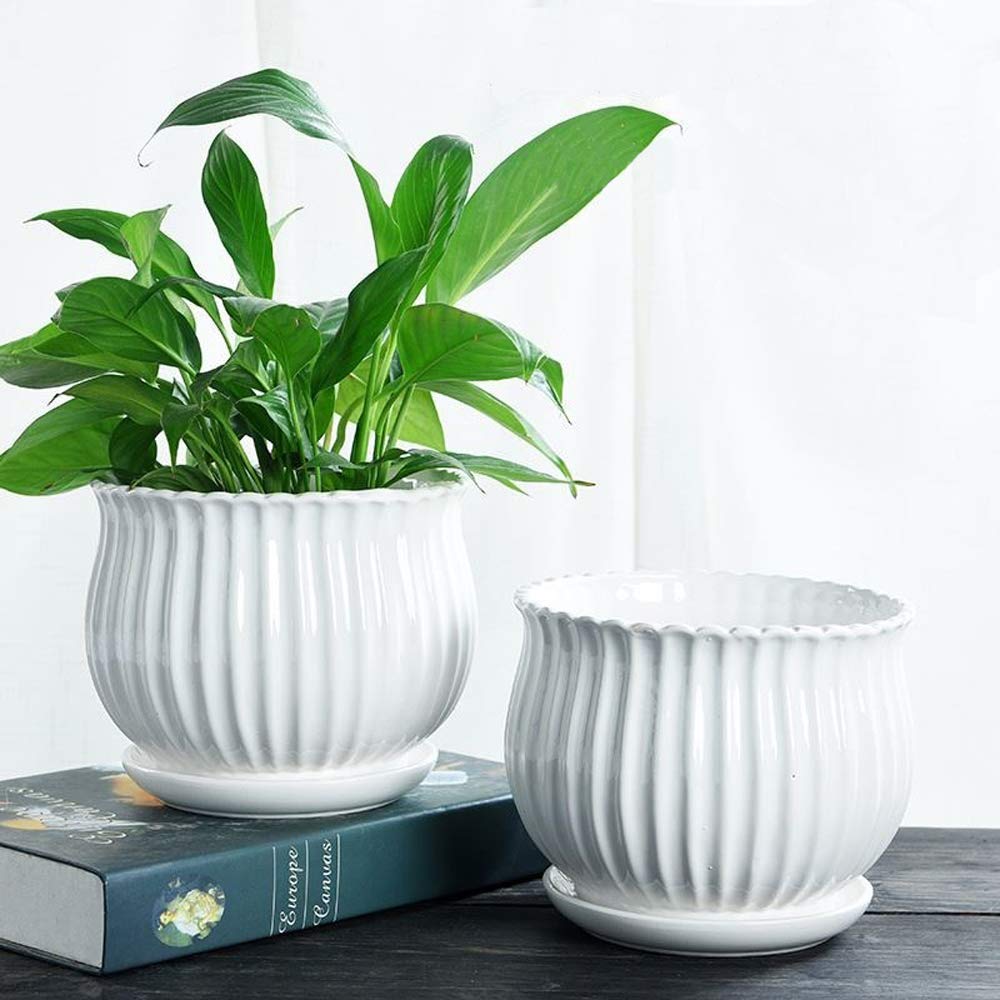 Yesland medium ceramic pot with white stripe, ideal for tabletop display