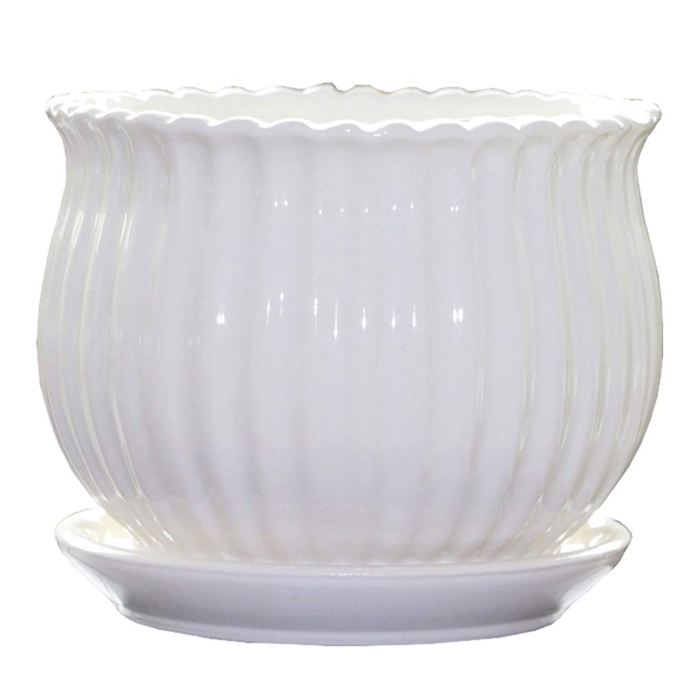 Yesland ceramic planter for succulents on a sunny windowsill