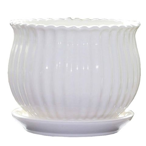 Yesland ceramic planter for succulents on a sunny windowsill