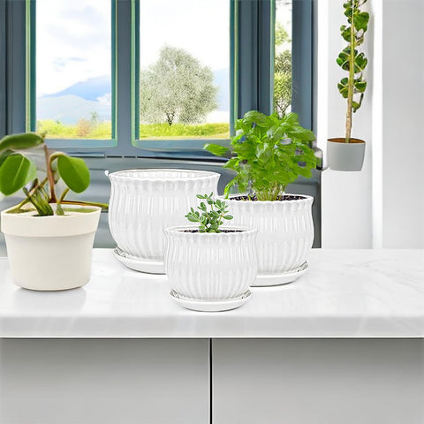 Yesland ceramic planter with drainage hole and saucer to protect surfaces