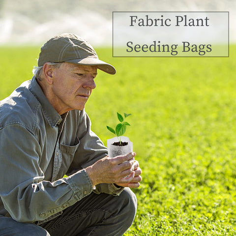 Yesland nursery bags show transplant-friendly design for seamless in-ground planting.