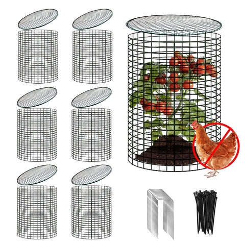 YEXEXINM garden plant protector cylinder shields seedlings from critters.